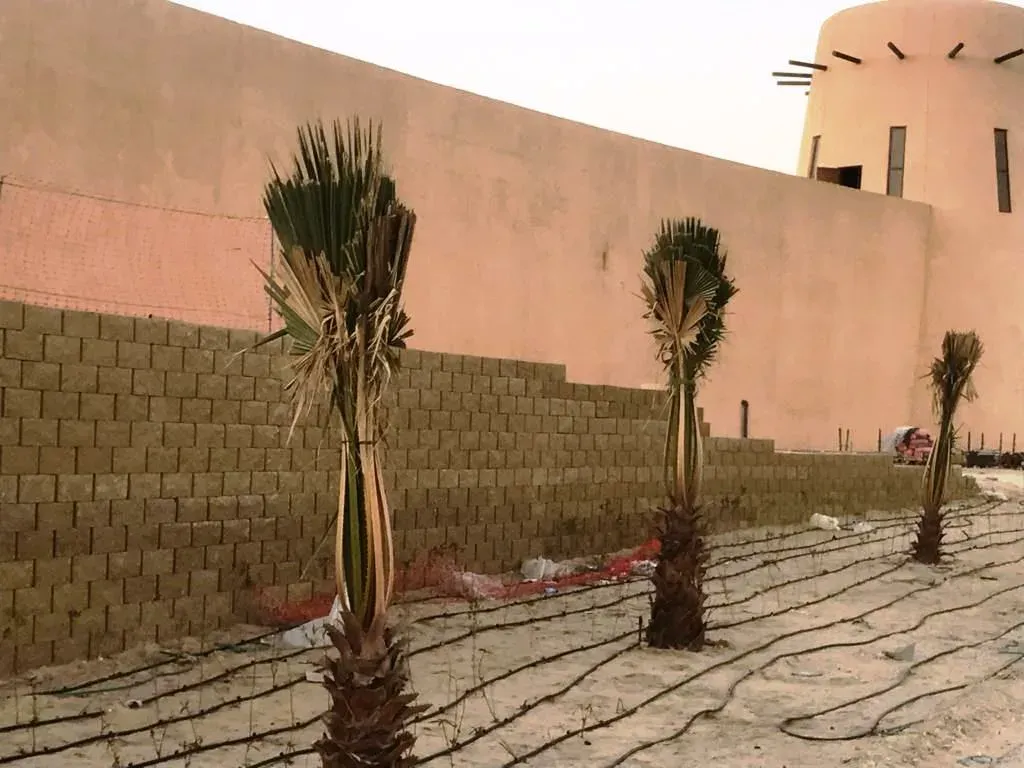 Construction of retaining walls in cultural center are and Souq area of central Awameyah development project