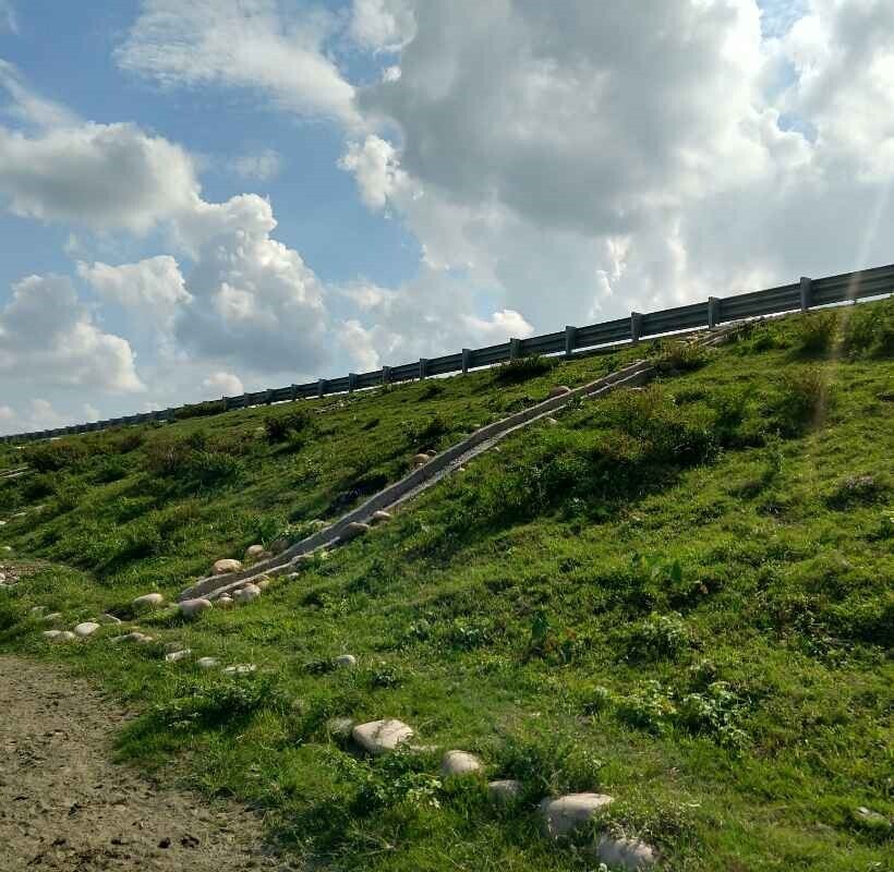 Geogrid reinforced embankment to ensure stability and reduce settlement