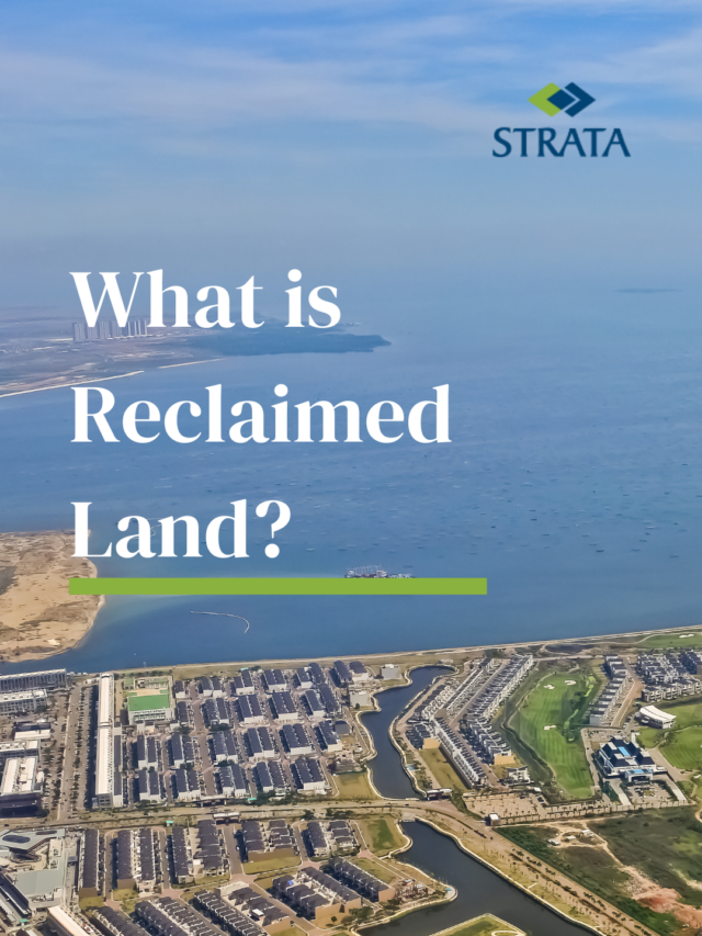 reclaimed land